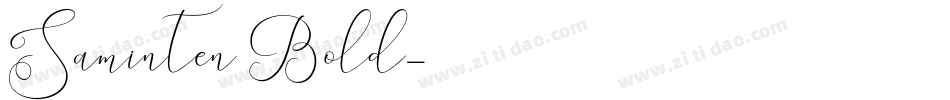 Saminten Bold字体转换